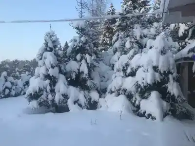 Дом Берендей - 23