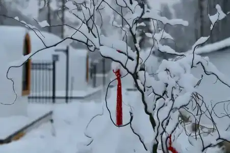 Хэйлун - 401
