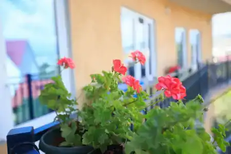 Фрегат 2 - 26
