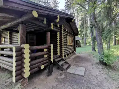 Тихий Лес - 19