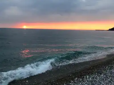 Пальма - 3