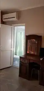 Пальма - 5