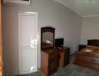 Пальма - 6