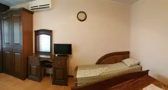 Пальма - 11