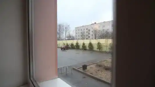 Чайка - 44