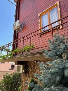 Просперус - 30