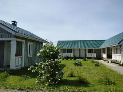 Кодикас - 70
