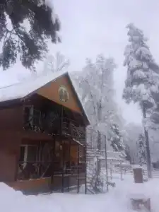 Тайга House - 3