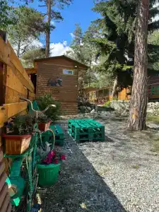 Тайга House - 40