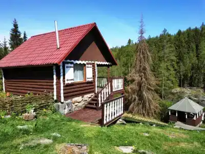 Хекселя - 82