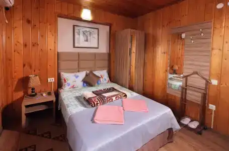 House Loris - 56