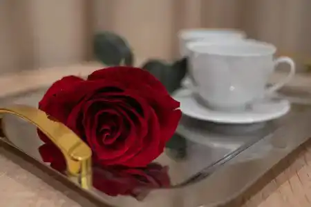 Xenia на Селигерской - 3