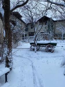 Сад - 44