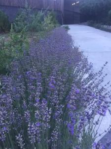 Black Rock l Вилла Чёрная Скала - 28