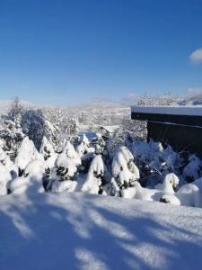 Black Rock l Вилла Чёрная Скала - 30