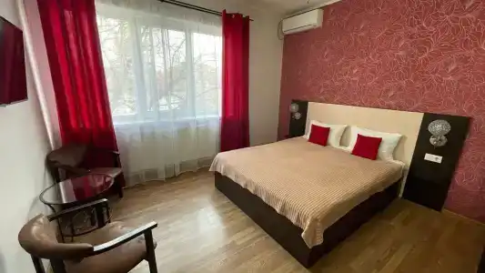 Виста - 29
