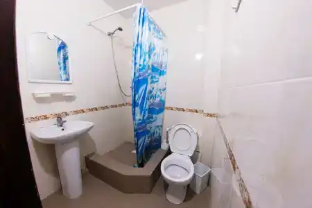 Золотая рыбка - 12