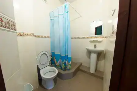 Золотая рыбка - 22