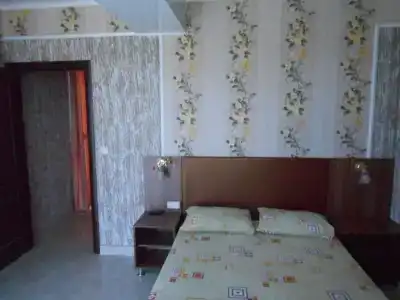 Золотая рыбка - 26