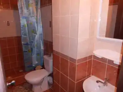 Золотая рыбка - 28