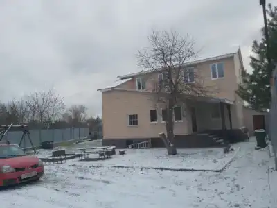 Толстый кот - 1