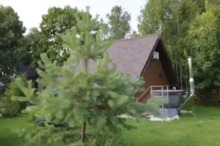 Слобода - 63