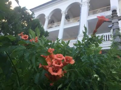 Крым-Дрим - 4