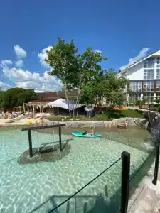 Cinema Capsula Dolphin Planet - 4