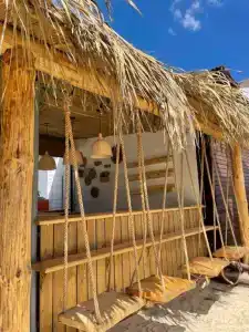 Cinema Capsula Dolphin Planet - 5