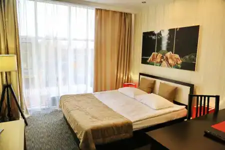 Cinema Capsula Dolphin Planet - 11