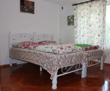 Платан - 3