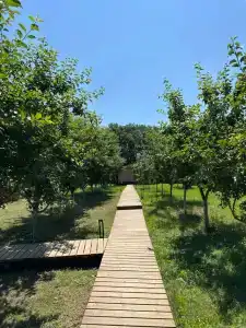 Аппарадиз - 7
