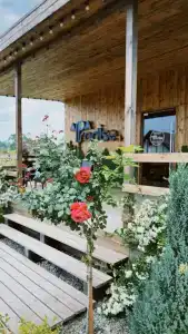 Аппарадиз - 23