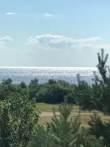 Спицино - 11