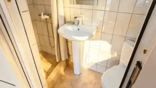 Веста - 20