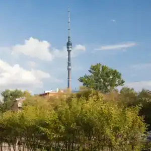 Марфино - 9