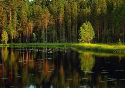 База отдыха Спартак - 12