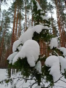 База отдыха Спартак - 3