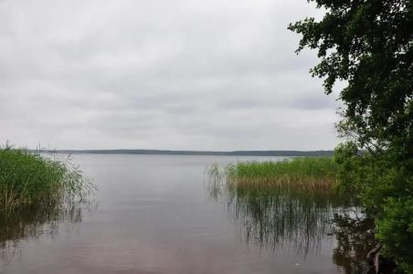 База отдыха Спартак - 13