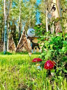 Village - 19