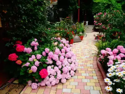 нты «Sunrise House - 10