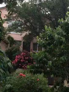 нты «Sunrise House - 11