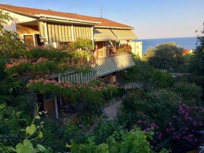 нты «Sunrise House - 0