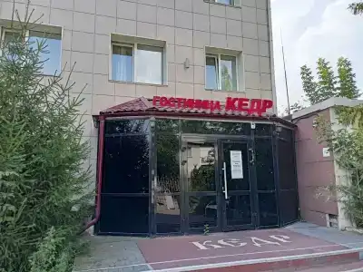 Кедр - 0