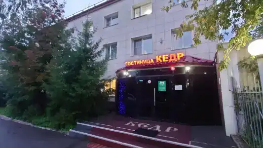 Кедр - 13