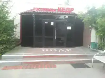 Кедр - 14