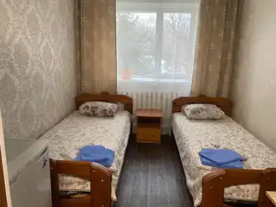Кедр - 33