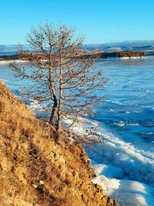 Baikal-Delight - 2