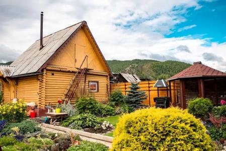 Baikal-Delight - 8