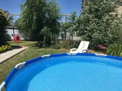 Лаванда Пересыпь - 26